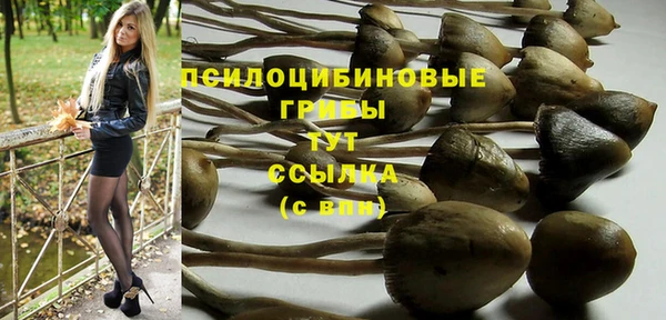 меф Володарск