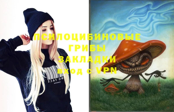 гидра Вязники